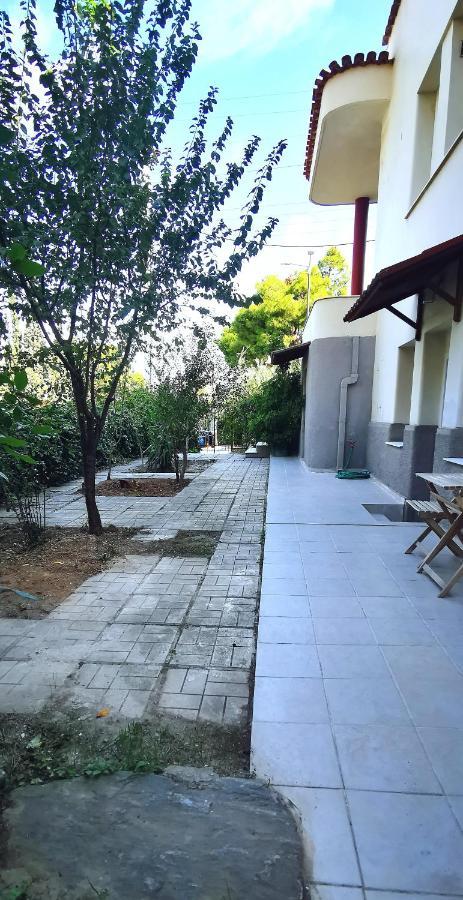 Amazon Spacious 3Bedroom Premium Neighbourhood アテネ エクステリア 写真